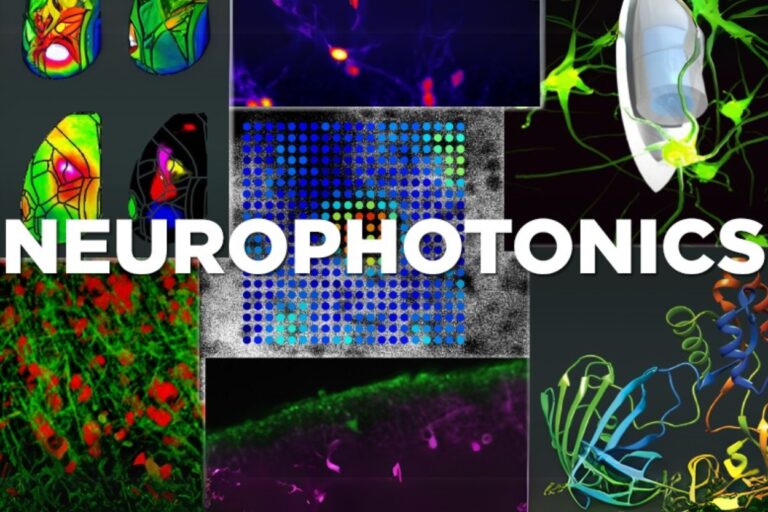 FNIRS+iVR perspectives in a new paper from Neurophotonics